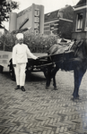 823065 Afbeelding van paard en wagen met reclame voor de Lubro Brood- en Banketbakkerijen (Abel Tasmanstraat 9) te ...